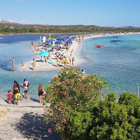 Le Rose * San Teodoro (Sardinia)